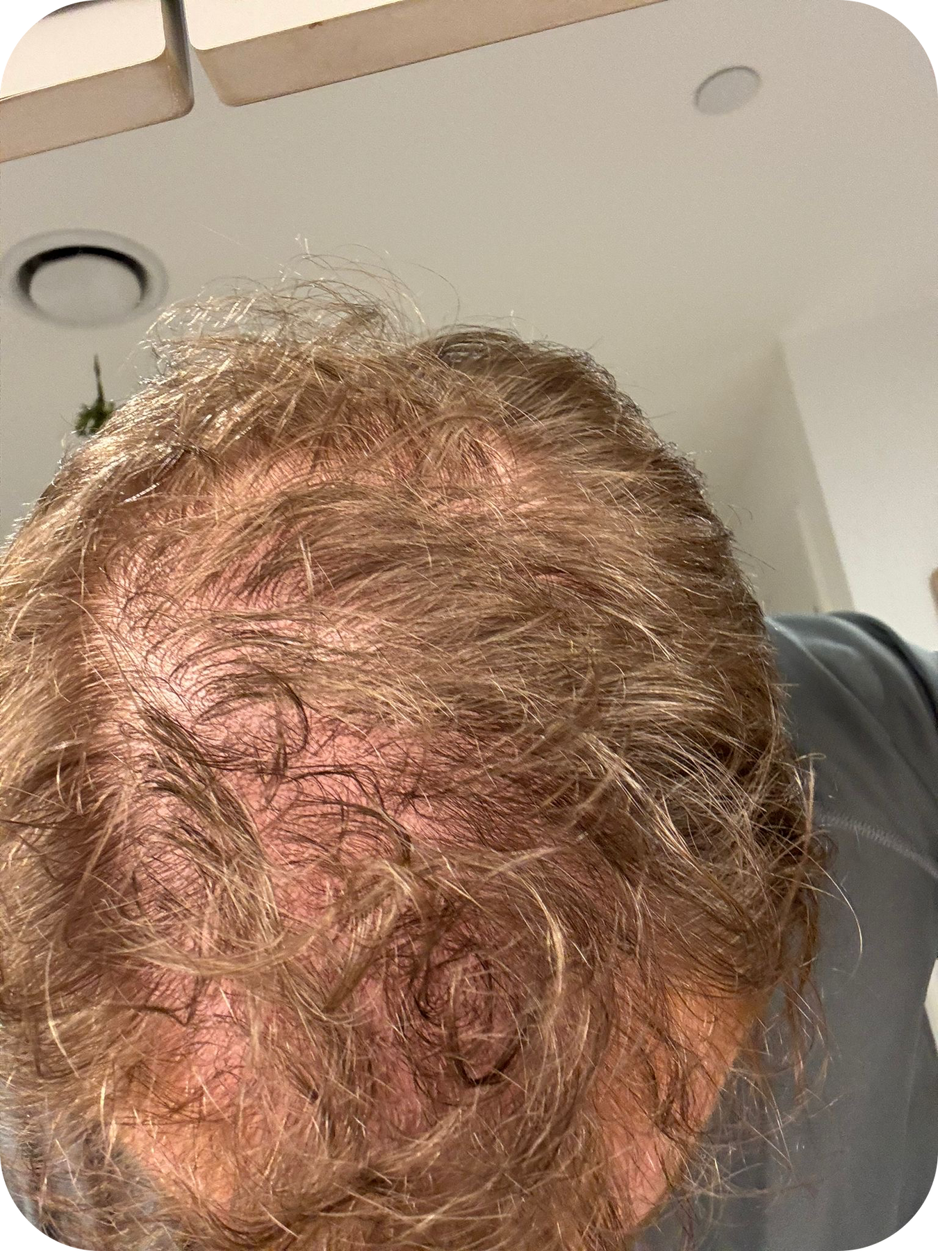 Mojave desert in the sun